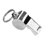 Picture of Silver Whistle