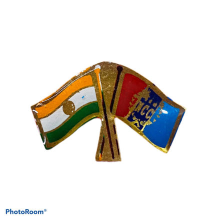 Indian Flag And NCC Badge