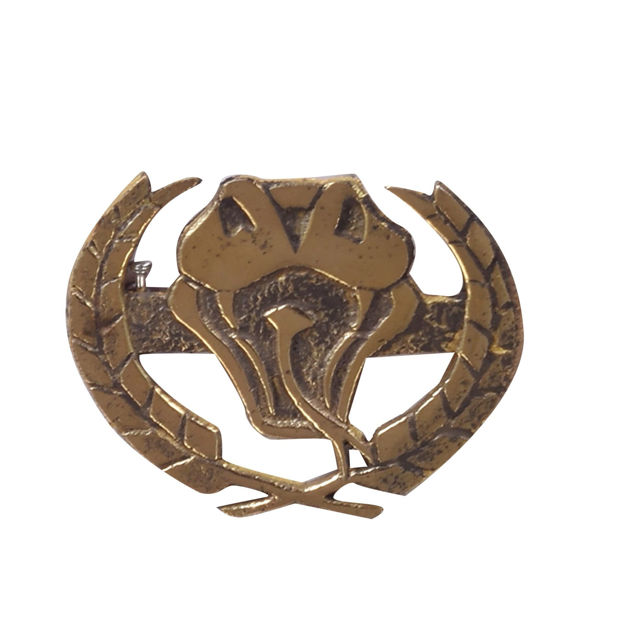 Cobra Cap Badge Brass For NCC