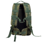 Olive Green Hiking Bagpack - back