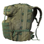 Olive Green Hiking Bagpack - side